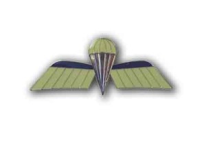 NEDWING * Nederlandse Para-Wing