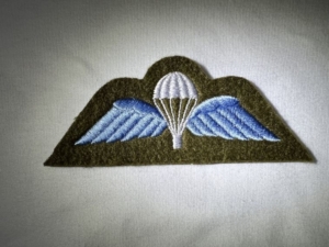 BRPW * British Para Wing