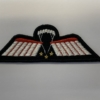 WINGCOPS * Nederlandse Para-Wing C OPS