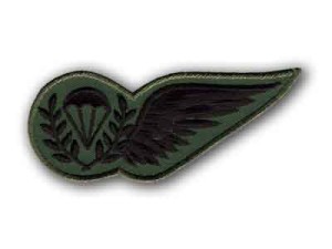 WINGHKC * Instructeurs Wing " Halve Kip " * Camo