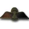 WINGDC * Para-Wing D * Camo