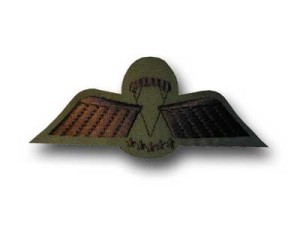 WINGDC * Para-Wing D * Camo