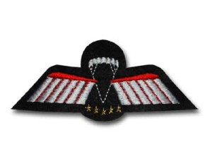 WINGD * Para Wing D brevet