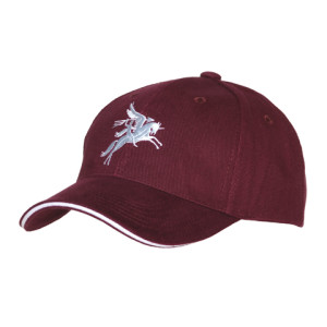 VO222 + Pegasus Cap