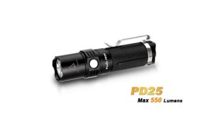 FEPD25